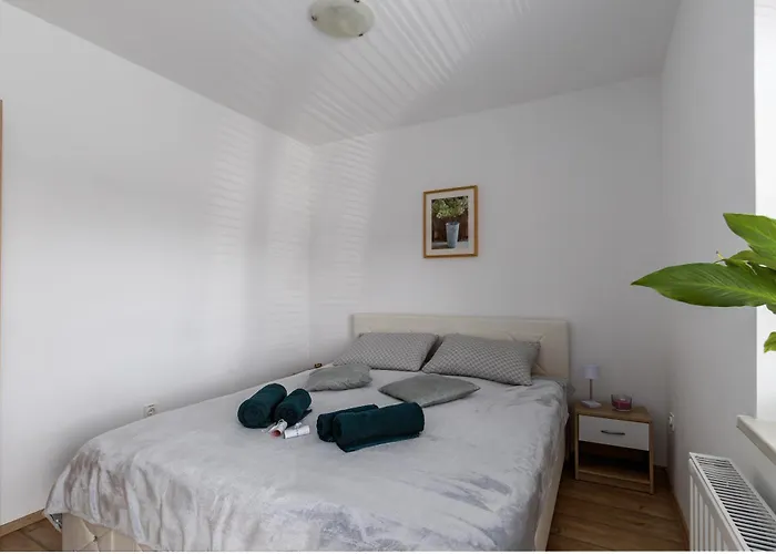 Apartments & Wellness Dalija With Massages Studio